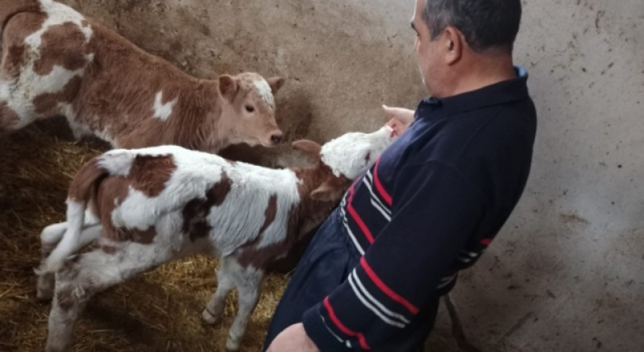 ETKİYAP SONUÇLARINI GÖSTERMEYE BAŞLADI