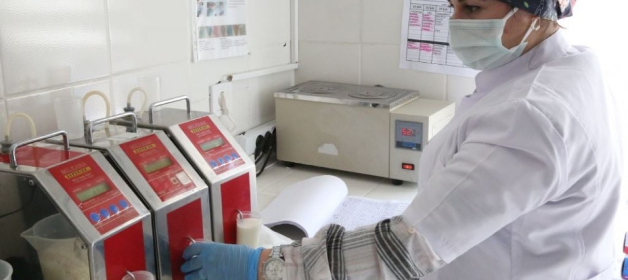 GÜNLÜK KAPASİTE 60 TONA ULAŞTI