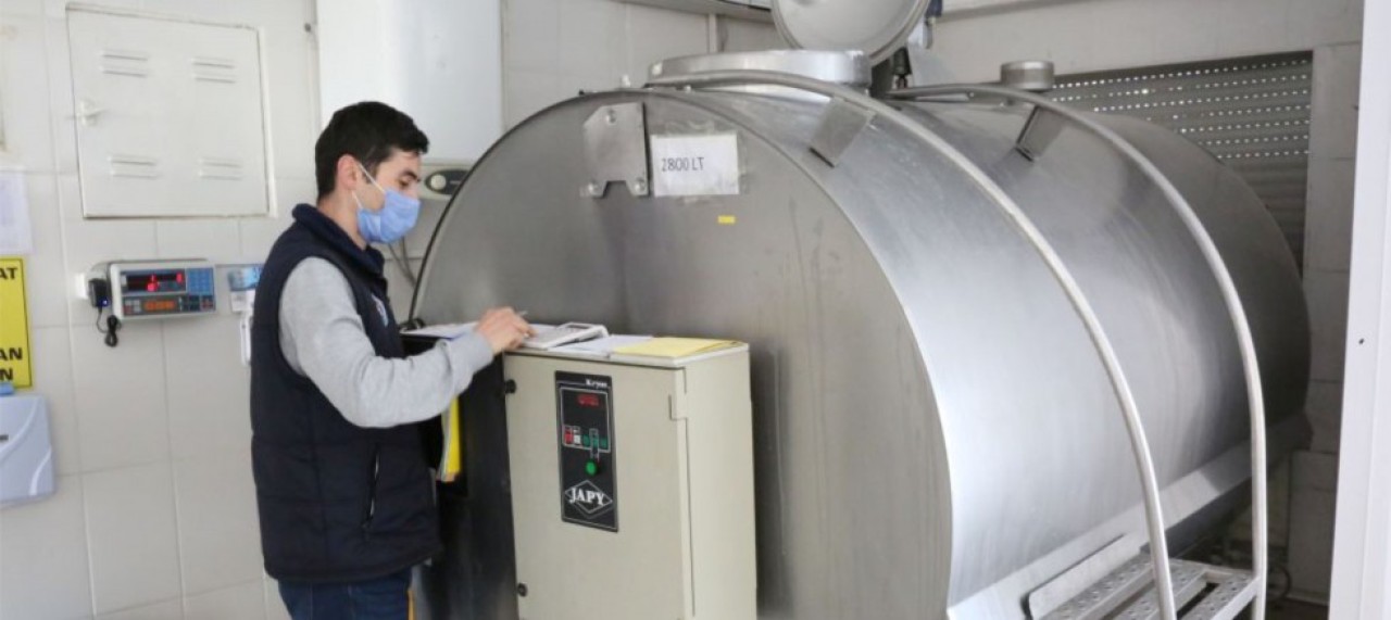 GÜNLÜK ORTALAMA 42 TON SÜT TOPLANIYOR