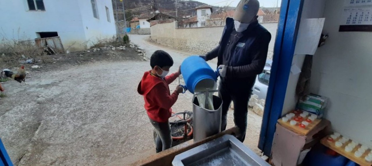 Günlük Ortalama 68 Ton Süt Toplanıyor