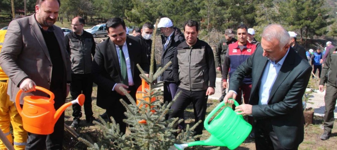 hafta dolayısıyla fidan dikip, kuş yuvası bıraktılar