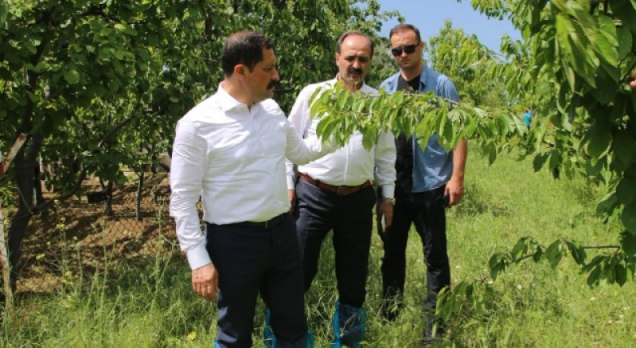 HASAR TESPİT ÇALIŞMALARI BAŞLADI