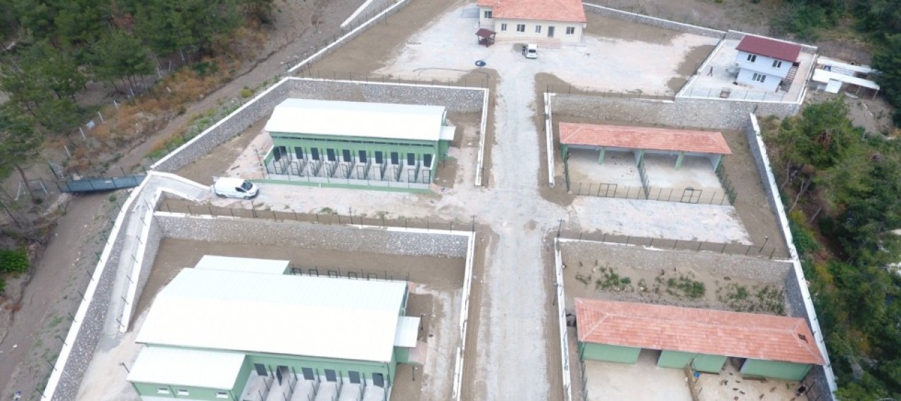 HAYVAN BARINAĞI, AÇILIŞA HAZIRLANIYOR