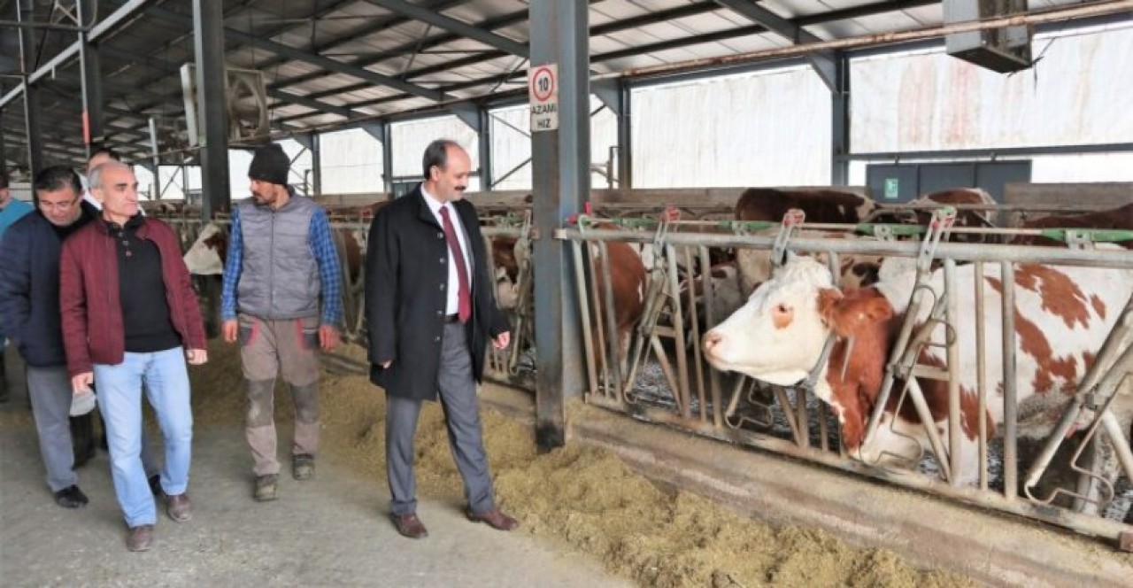 HAYVANCILIK İŞLETMESİNE ZİYARETTE BULUNDU