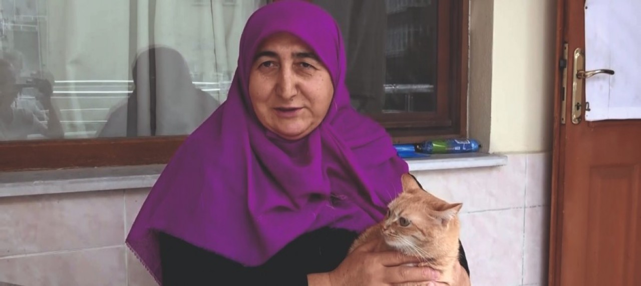 HER SABAH YOLUNU GÖZLEYEN KEDİLERİ ELLERİYLE BESLİYOR