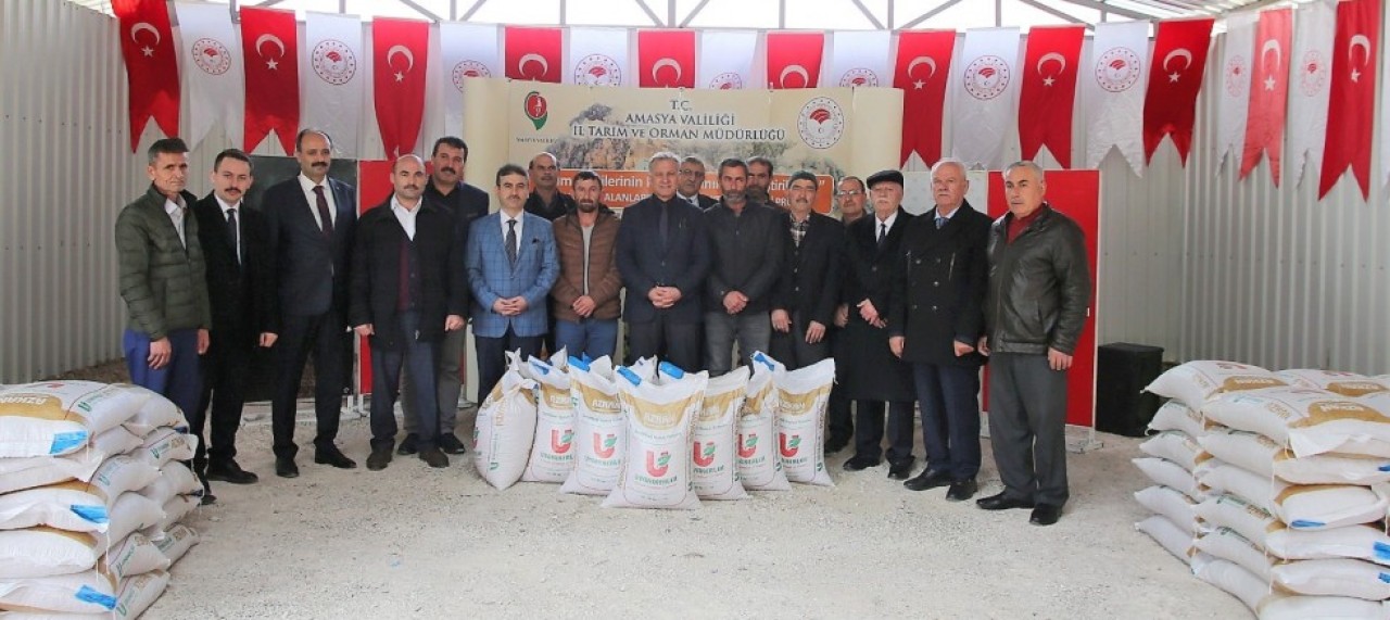 HİBELİ NOHUT TOHUMLARI DAĞITILDI