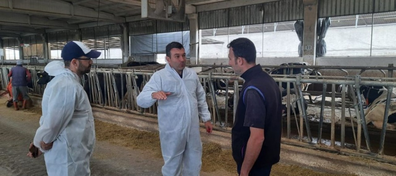 İŞLETME DANIŞMANLIĞI PROJESİ DEVAM EDİYOR