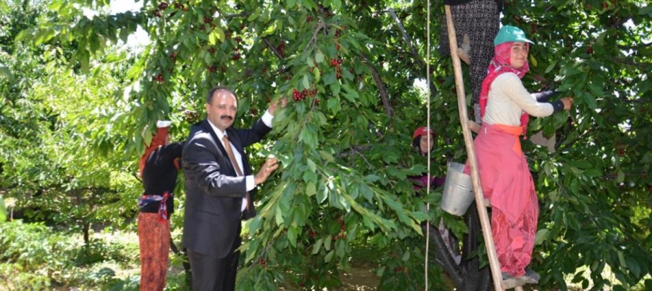 KADIN ÇİFTÇİLER TARIM SEKTÖRÜNÜN TEMEL TAŞLARINDAN BİRİSİDİR