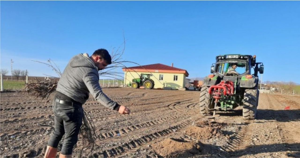 KARATEPE KÖYÜNDE KUŞBURNU FİDANI DİKİLDİ