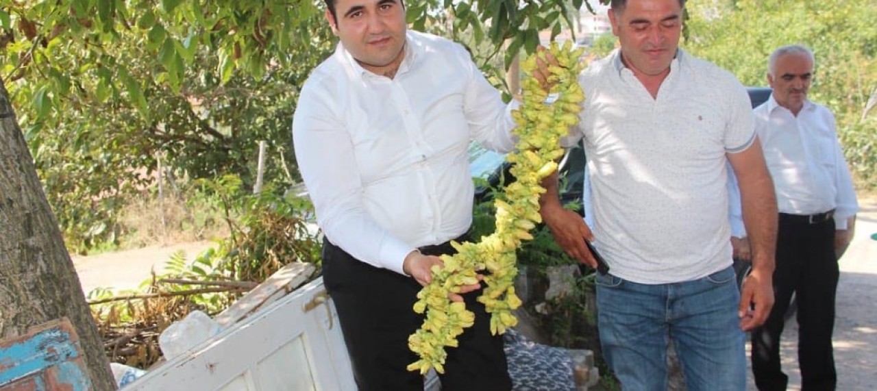 KAYMAKAM KÖYLÜYE BAMYA MÜJDESİNİ VERDİ
