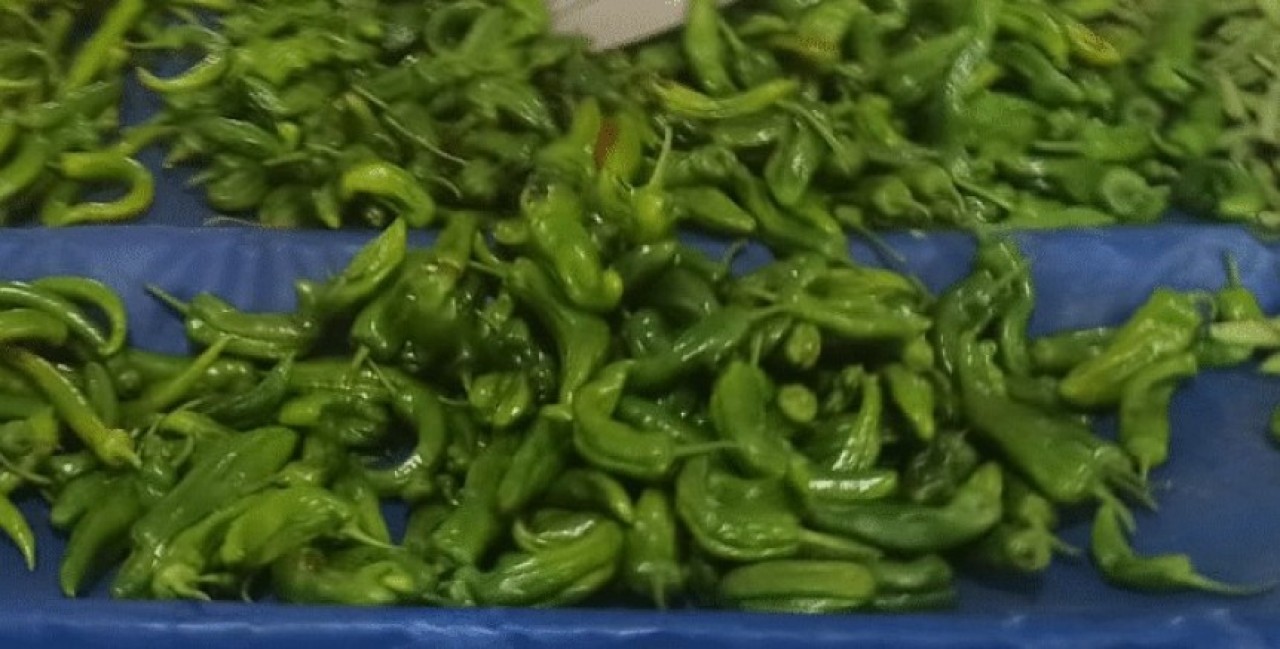 KENDİSİ DEĞİL, FİYATI YAKIYOR