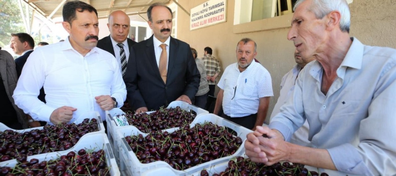KİRAZ ALIM MERKEZİNDE İNCELEMELERDE BULUNDU