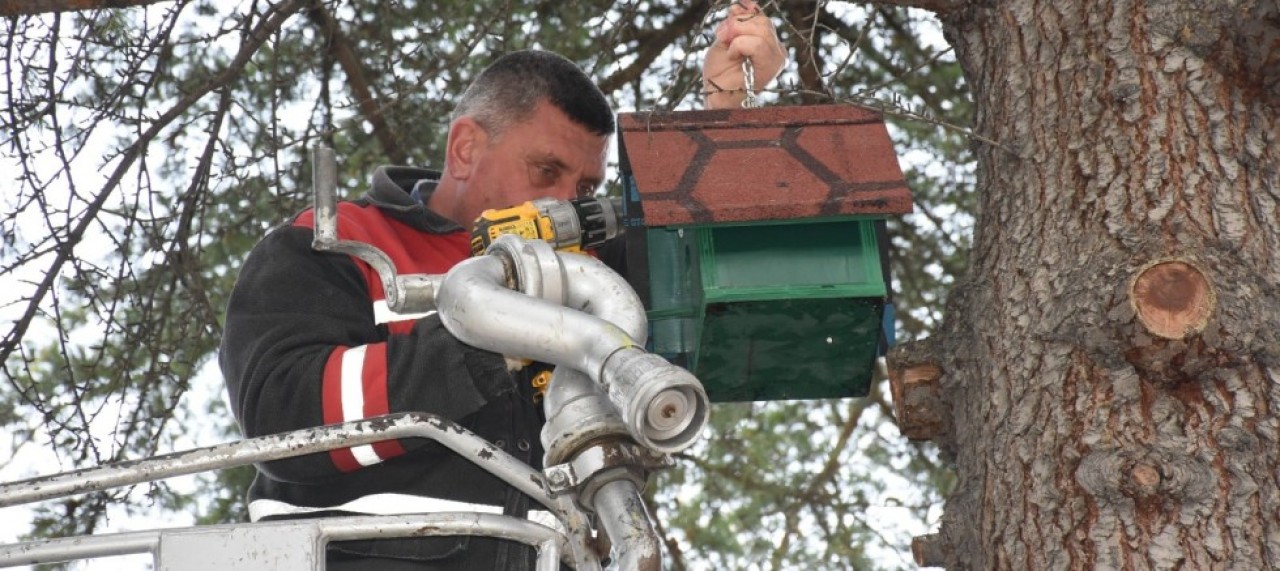 KUŞ EVLERİ ile MİNİK DOSTLARA  SICAK BİR YUVA OLUŞTURULUYOR