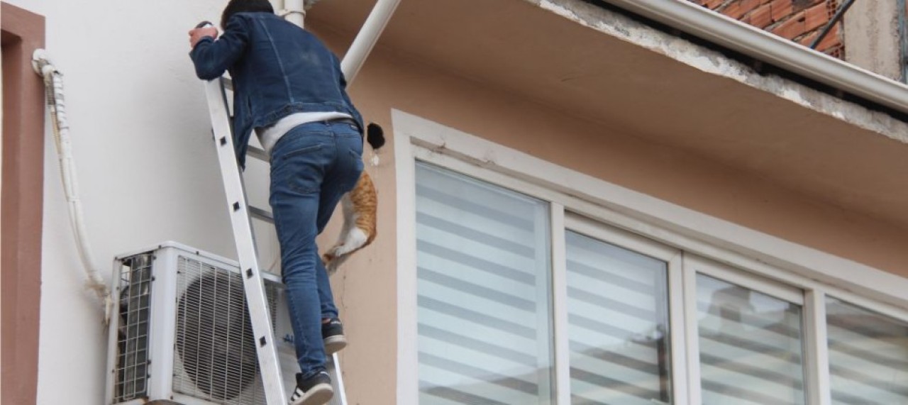 MAHSUR KALAN KEDİYİ ESNAF KURTARDI