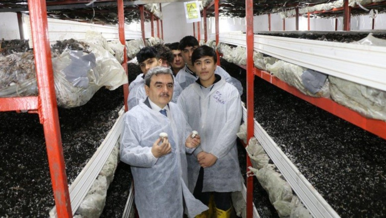 MANTAR BAHÇESİNDE İNCELEMELERDE BULUNDU