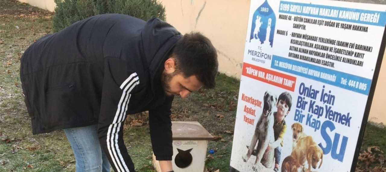 MERZİFON ÜLKÜ OCAKLARI SOKAK HAYVANLARINA MAMA BIRAKTI