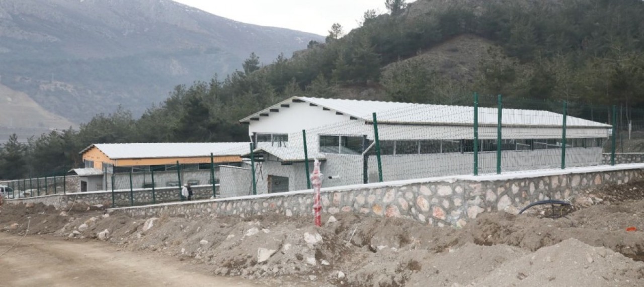 MODERN HAYVAN BARINAĞI AÇILIŞ İÇİN GÜN SAYIYOR