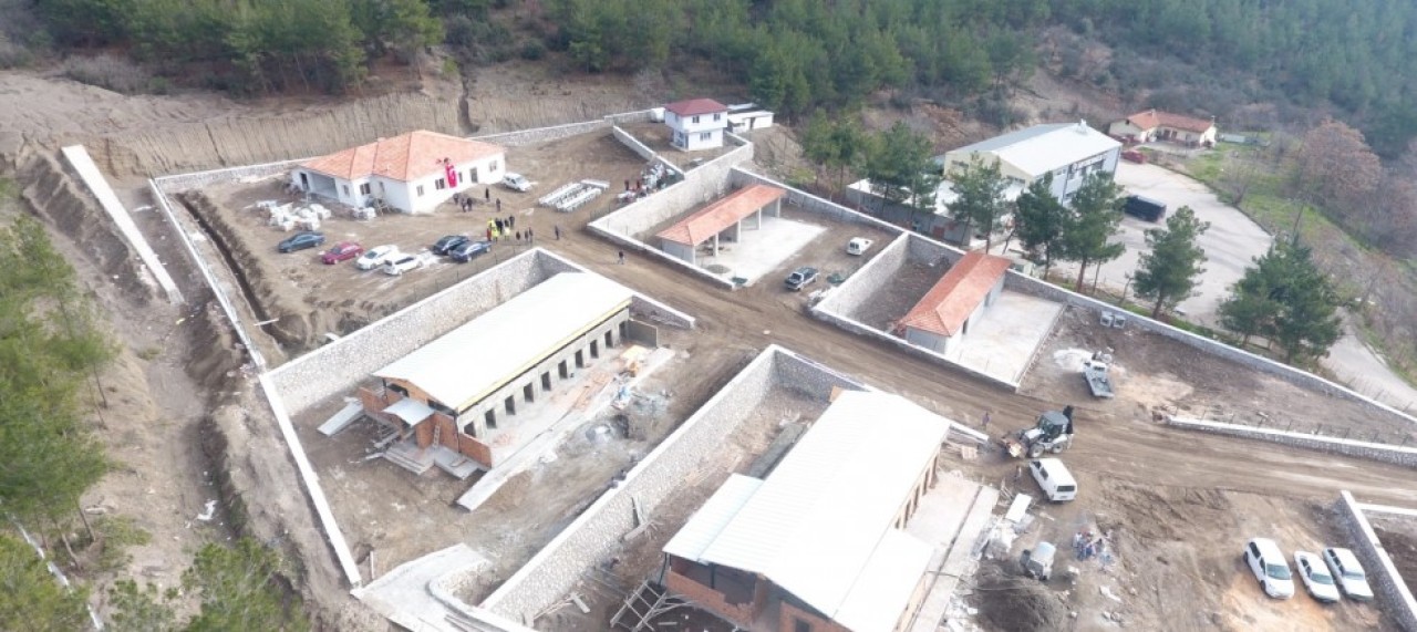 MODERN HAYVAN BARINAĞINDA SONA GELİNDİ