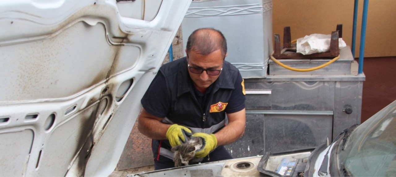 MOTORA SIKIŞAN KEDİYİ İTFAİYE KURTARDI