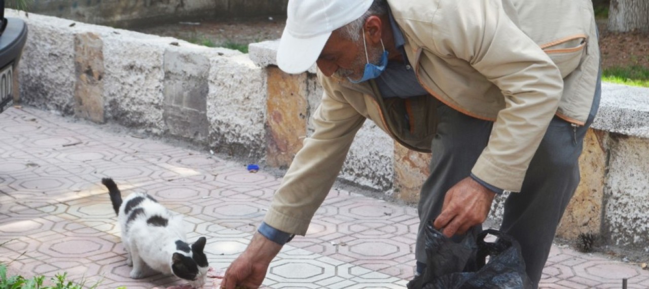 ‘Onların da canı var’