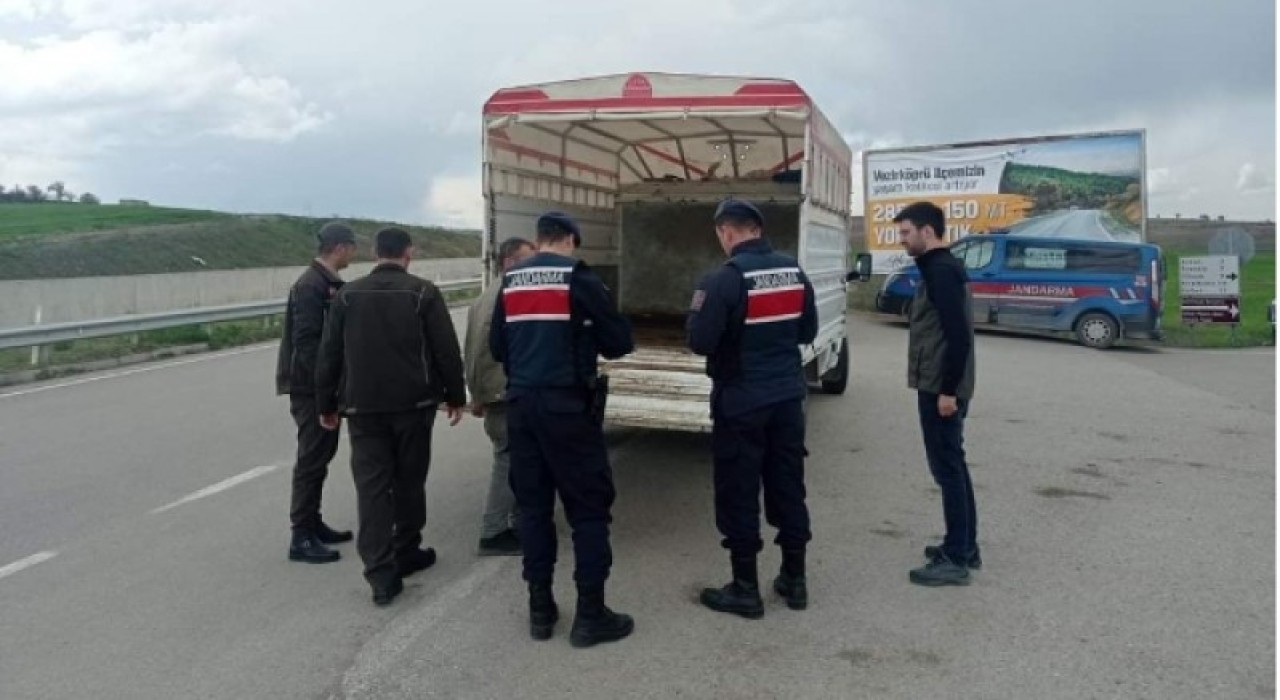 Orman Suçlarına Geçit Yok
