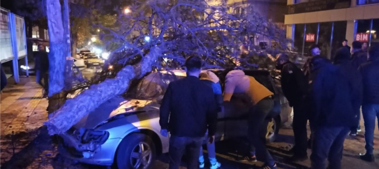 OTOMOBİL AĞACA ÇARPTI: 4 YARALI
