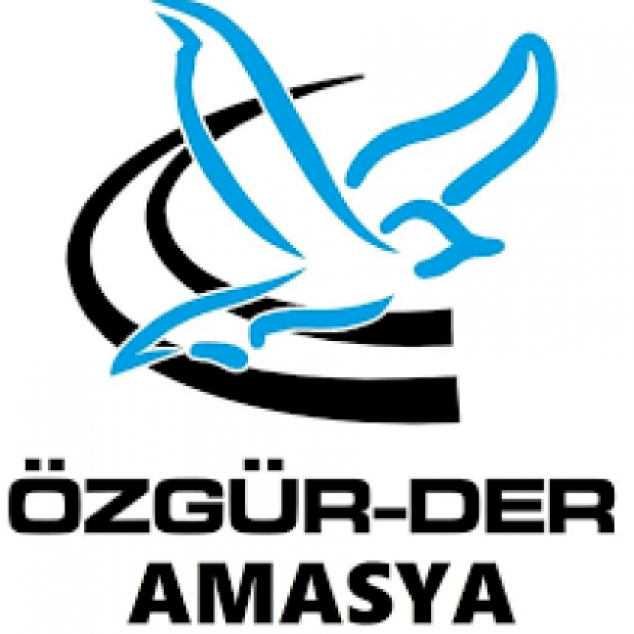 ÖZGÜR-DER: AMASYA HALKINI DEĞERLERİNE VE TARİHİ MİRASINA SAHİP ÇIKMAYA ÇAĞIRIYORUZ