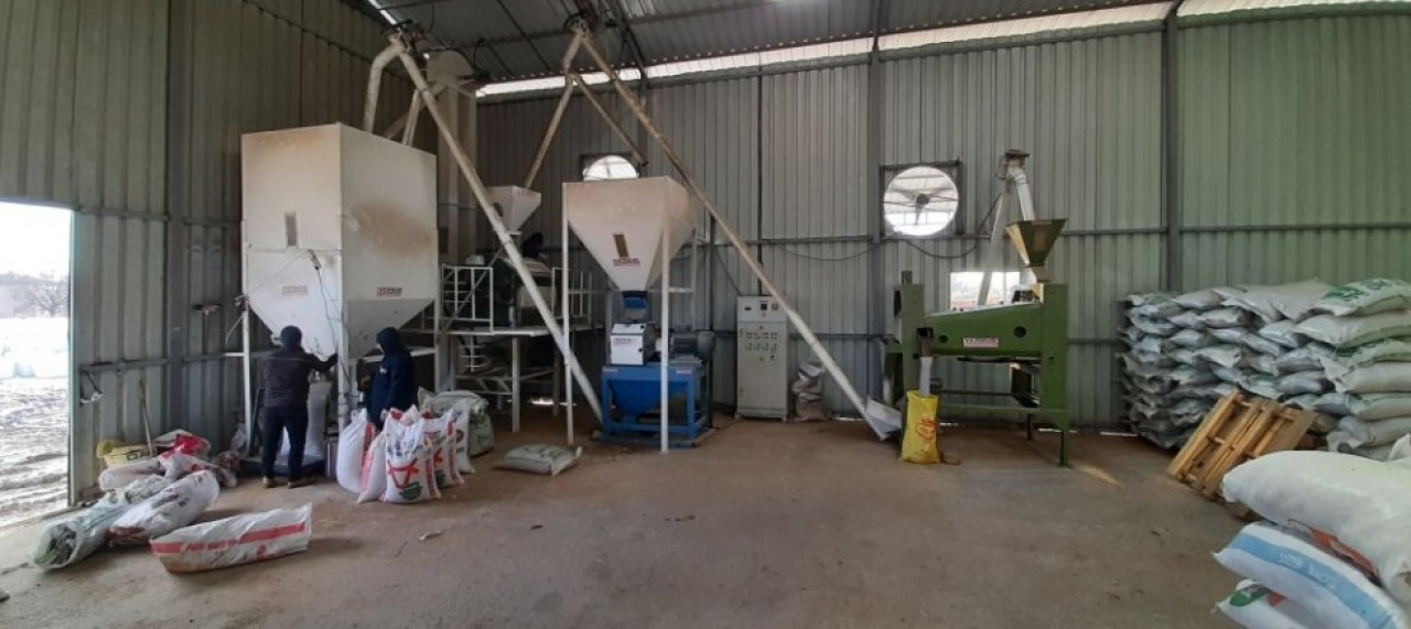 SAATTE 5 TON KAPASİTEYLE ARPA KIRMA, EZME VE TMR İŞLEMLERİ YAPILIYOR