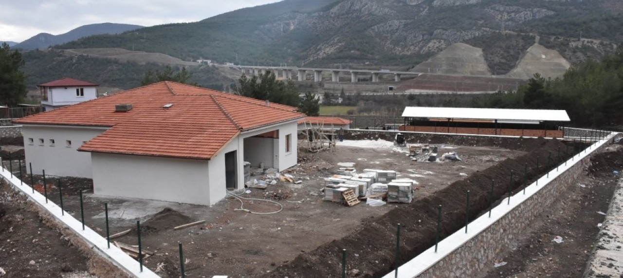 SARI: SOKAK HAYVANLARI İÇİN  BARINAK DEĞİL OTEL YAPIYORUZ