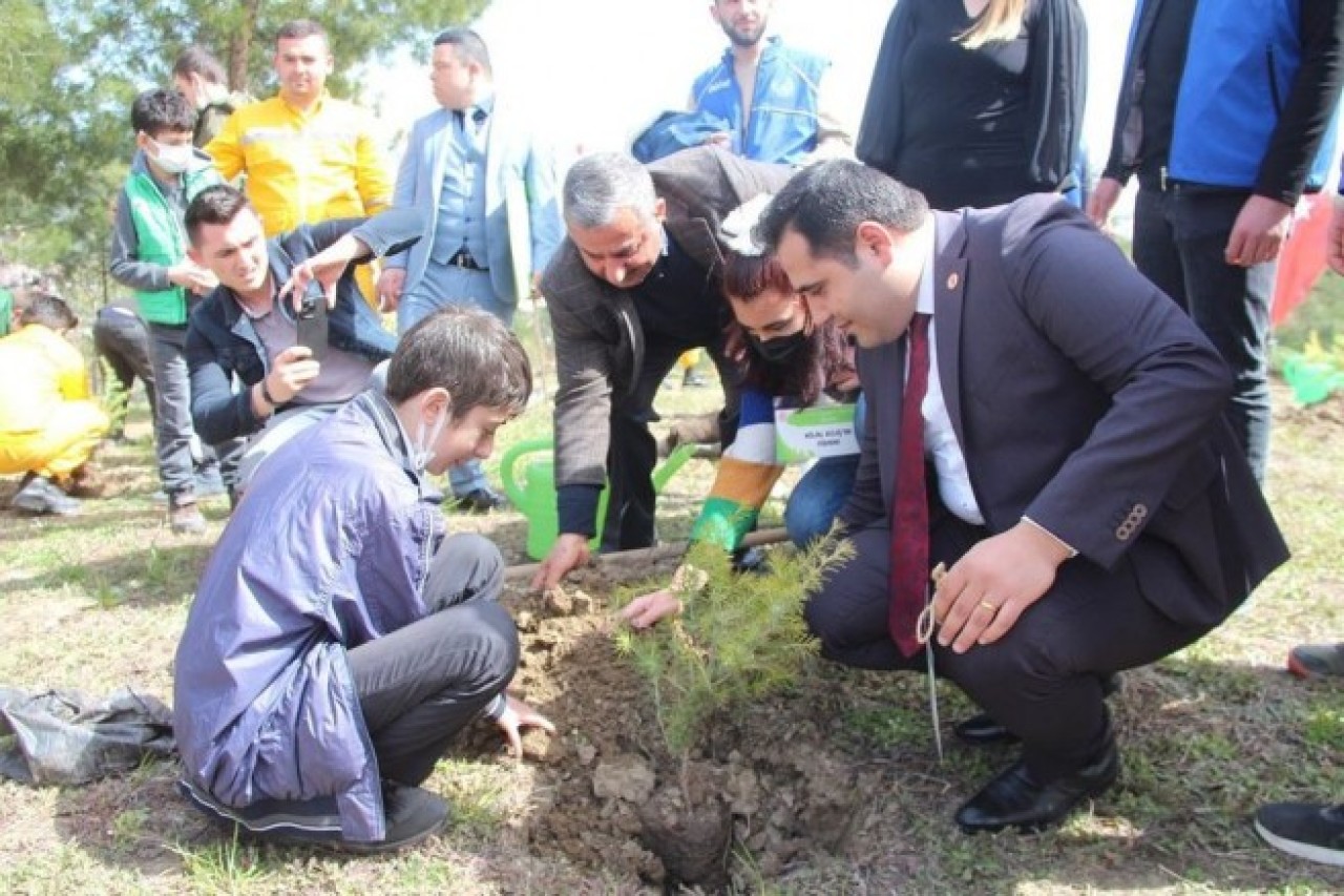 “Sevgiyle Yeşeren Fidanlar” Projesi