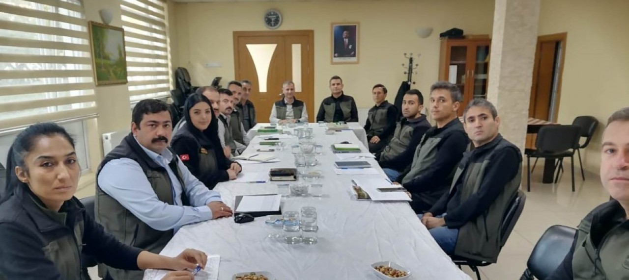 SİLVİKÜLTÜR BAKIMLARI ORMANLARA IŞIK VE NEFES OLUR