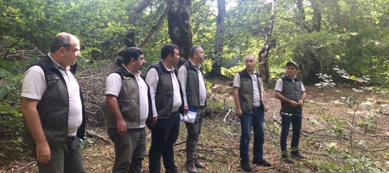 SİLVİKÜLTÜR BAKIMLARI ORMANLARA NEFES OLUR