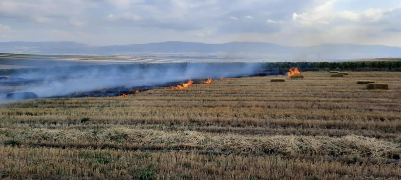 SULUOVA’DA 15 DÖNÜM ARAZİ YANDI