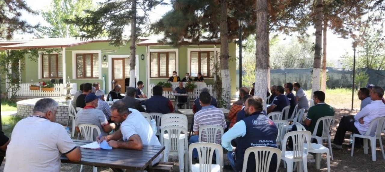 SÜT TOPLAMA AĞI SÜREKLİ GENİŞLİYOR