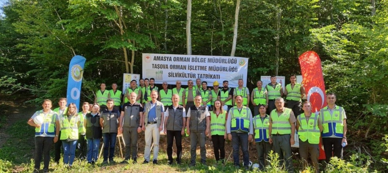 TAŞOVA’DA SİLVİKÜLTÜR TATBİKATI GERÇEKLEŞTİRİLDİ