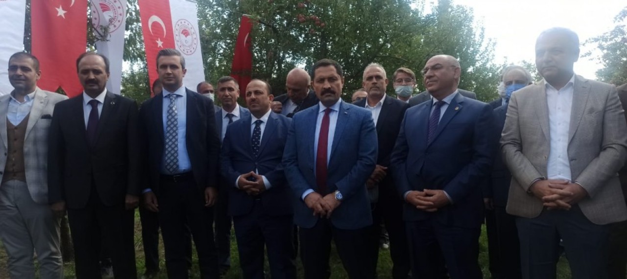 TESCİLLİ ‘AMASYA ELMASI’NIN HASADI BAŞLADI