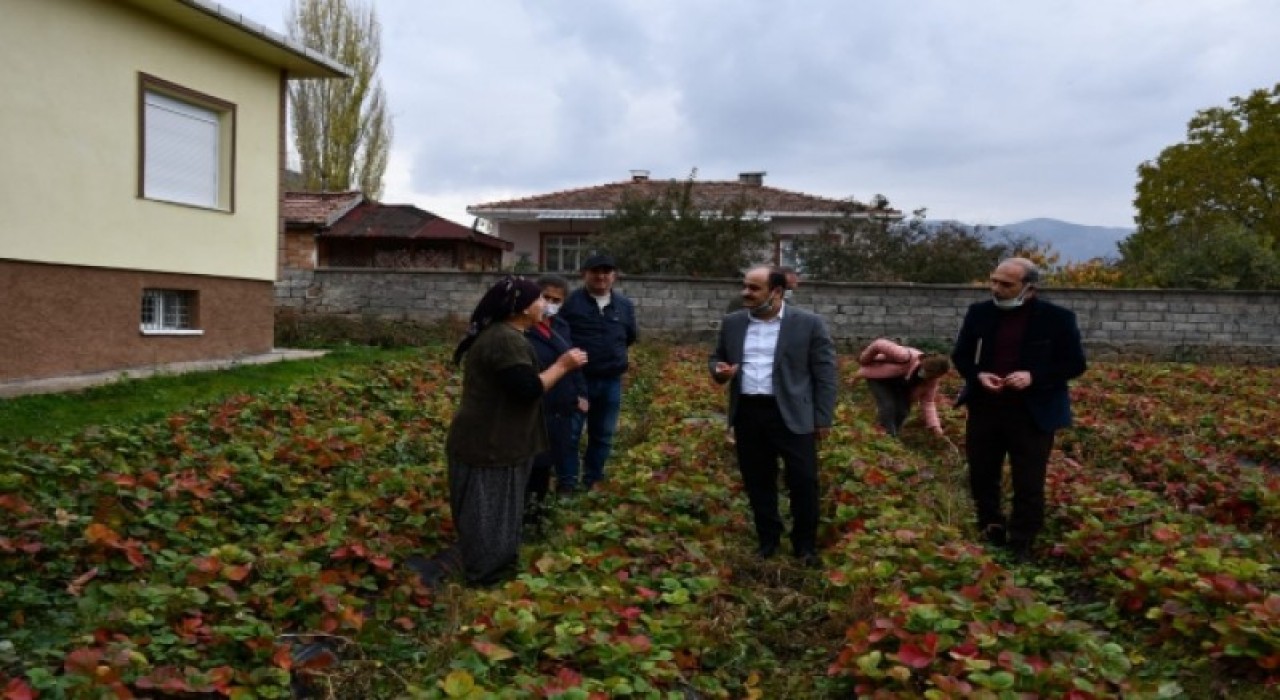 TEŞVİK VE DESTEK MEYVELERİNİ VERİYOR