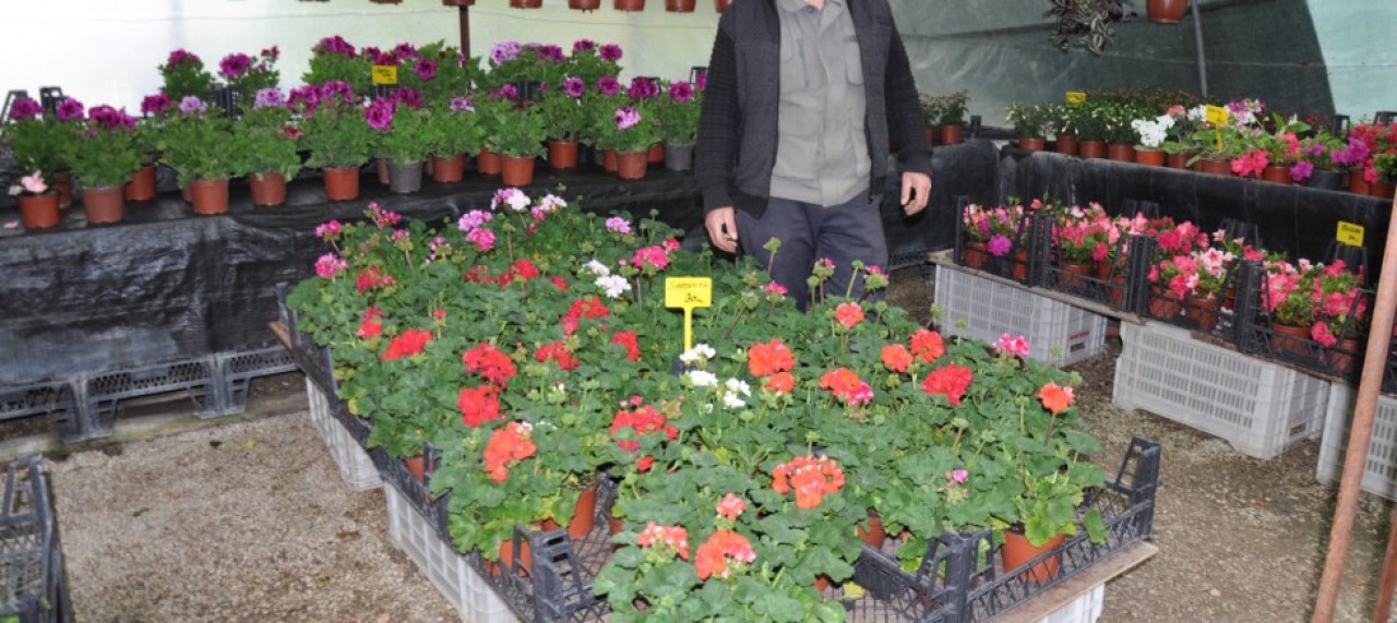 TEZGAHLARA BAHAR GELDİ