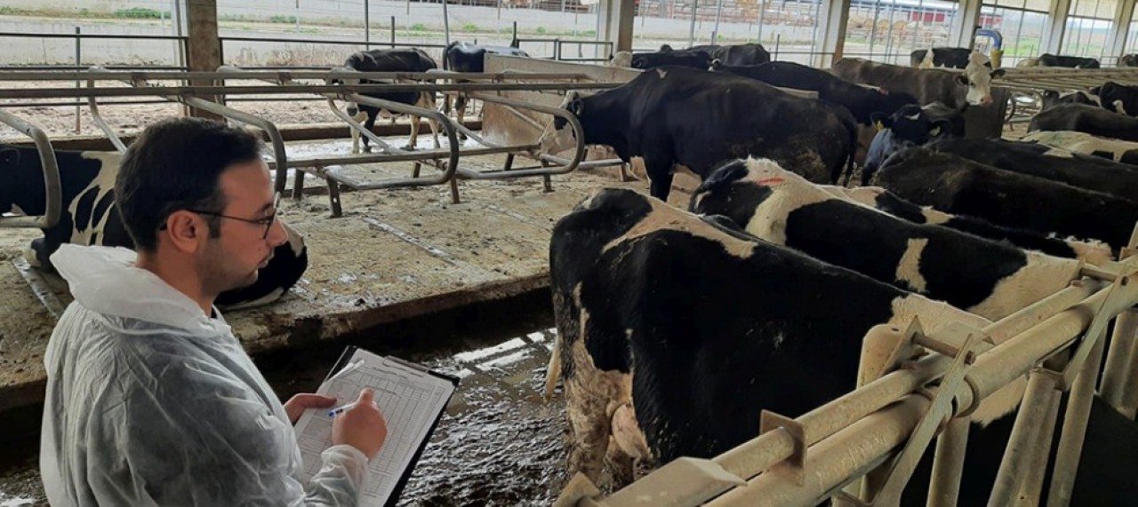 TİP SINIFLANDIRMA ÇALIŞMALARI DEVAM EDİYOR