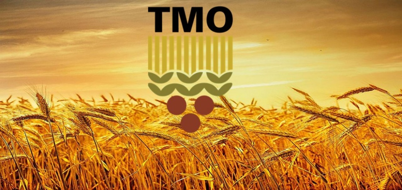 TMO ALIM PRİMİ DESTEĞİ BAŞVURU SÜRESİ UZATILDI