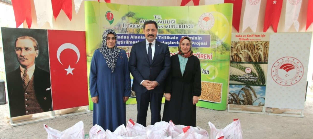 TRİTİKALE TOHUMU DAĞITILDI