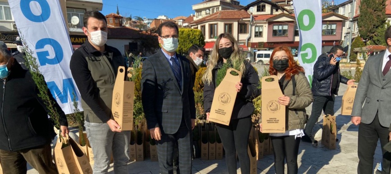 ÜCRETSİZ FİDAN DAĞITIMI YAPILDI