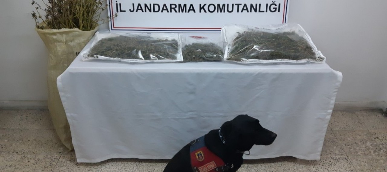 UYUŞTURUCU OPERASYONUNDA YAKALANAN ZANLI TUTUKLANDI