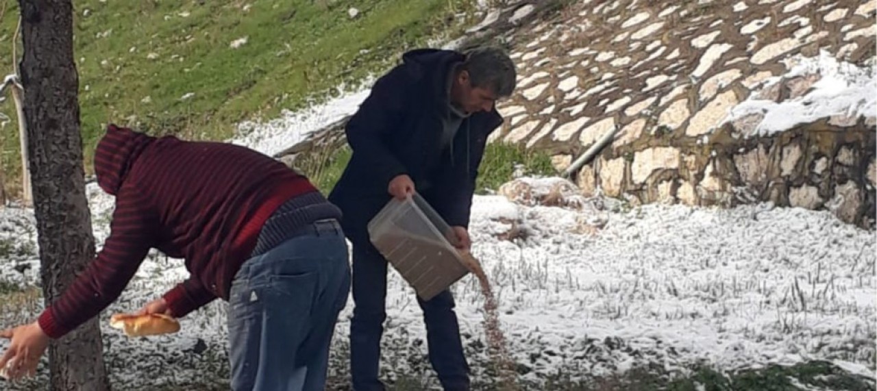 YABAN HAYATINA YEM DESTEĞİ