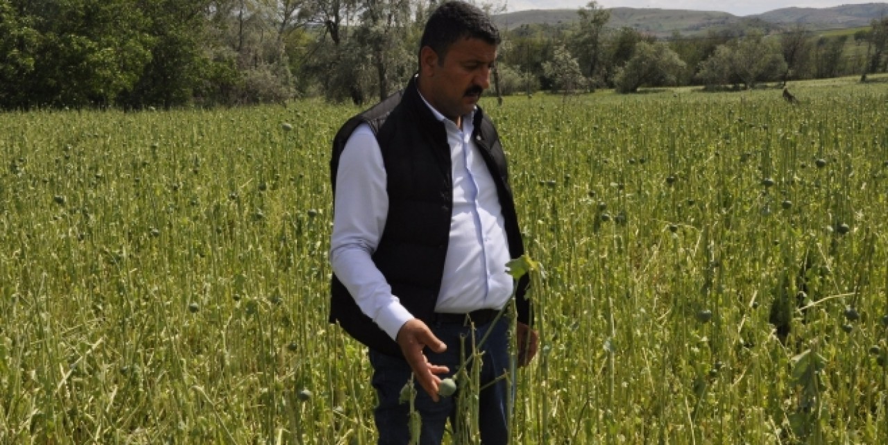 “YÜKSELEN YEM  FİYATLARI ÜRETİMİ  ZORA SOKTU”
