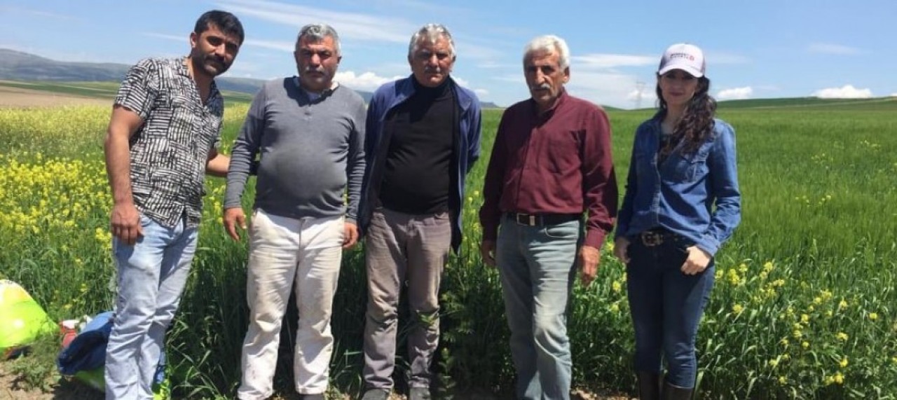 ZİRAAT MÜHENDİSLERİ ARAZİ KONTROLLERİNDE