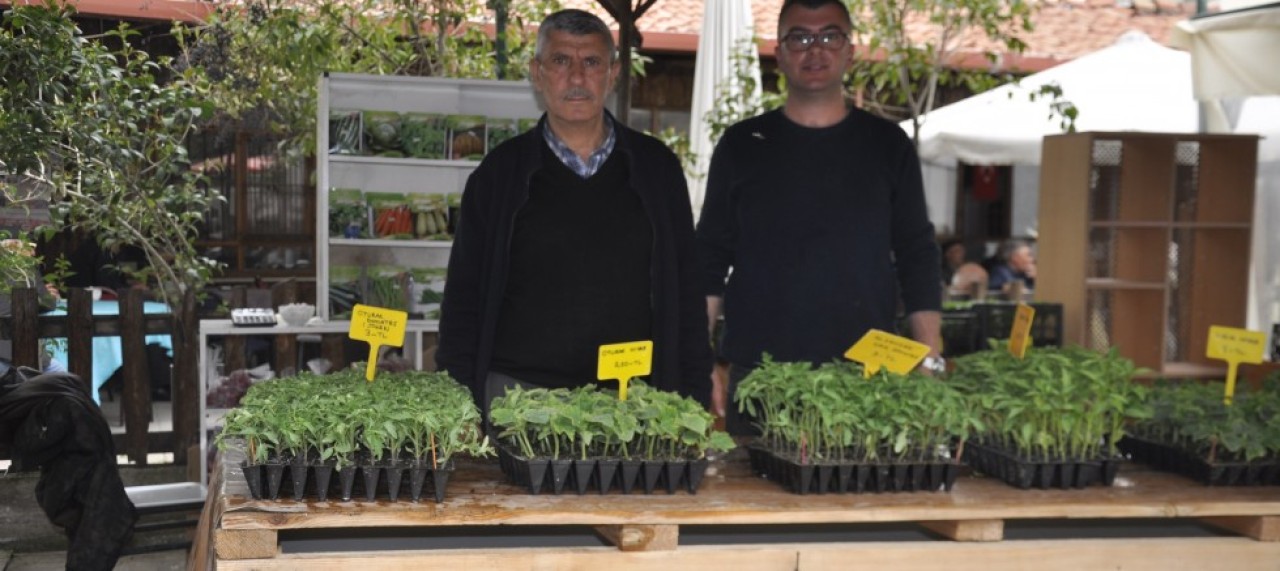 ZİRAAT ODASI FİDE SATIŞINA BAŞLADI