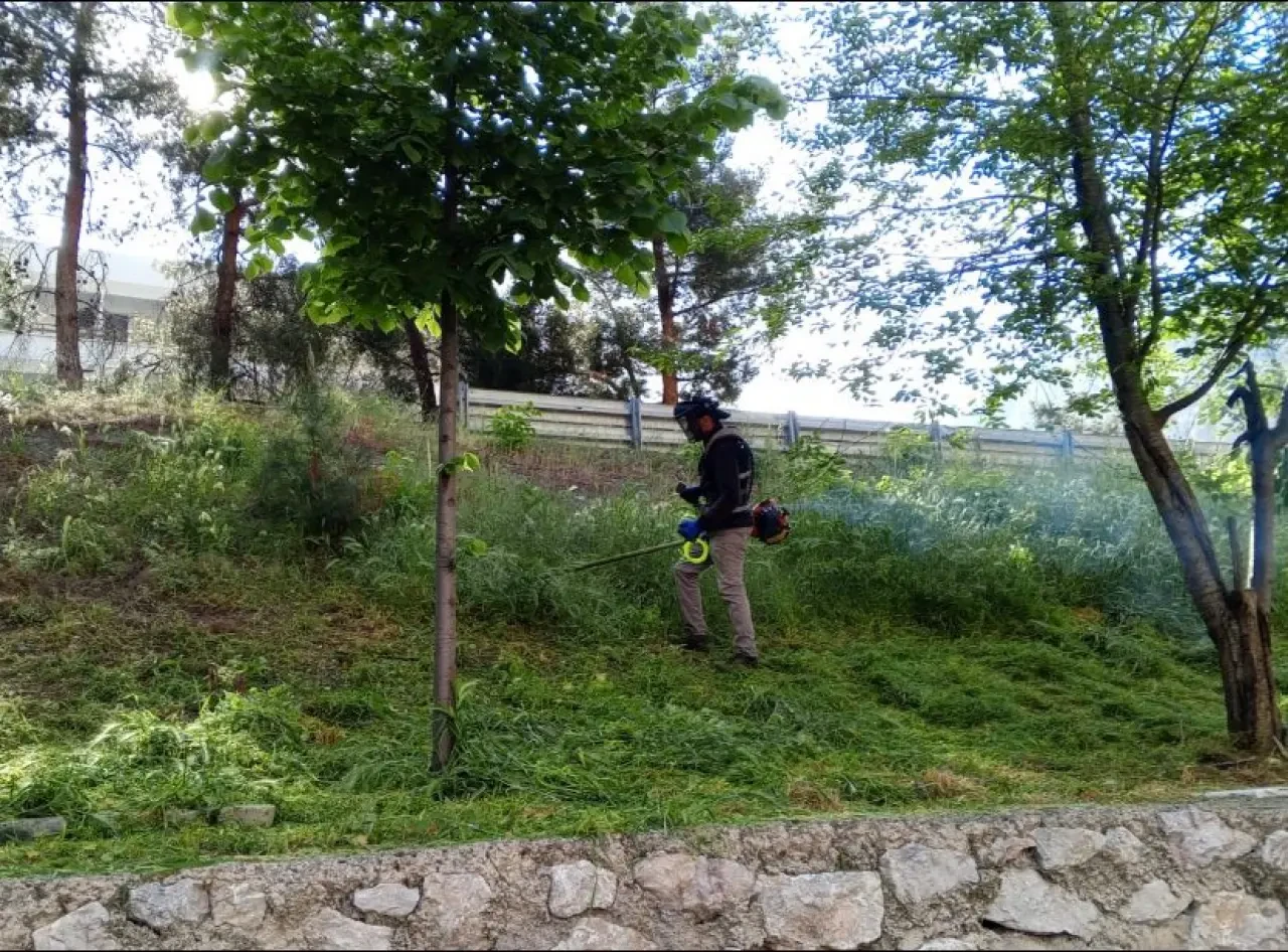 Amasya’da Doğaya Estetik Dokunuş 2