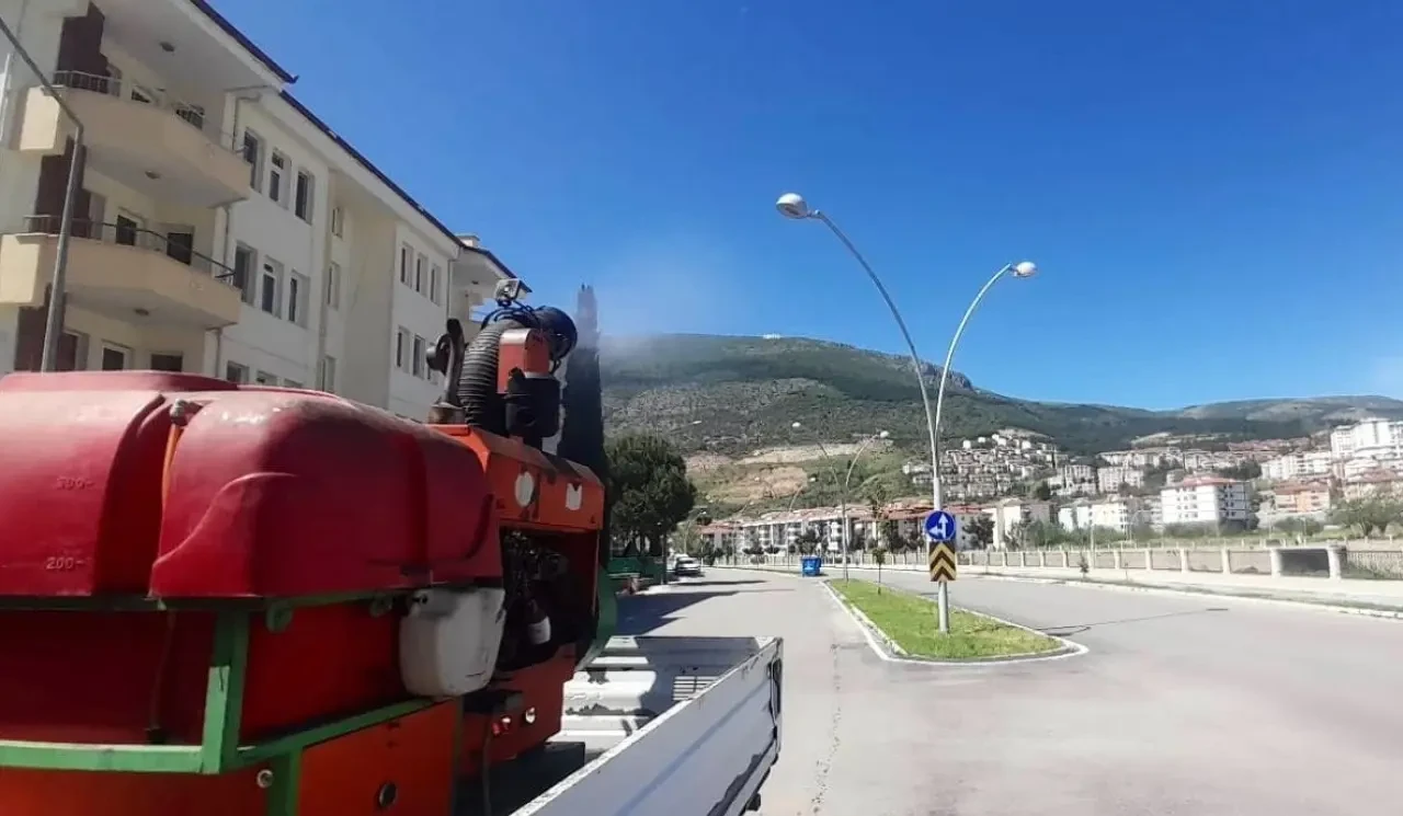 Amasya’da Haşereyle Mücadele Seferberliği! 1