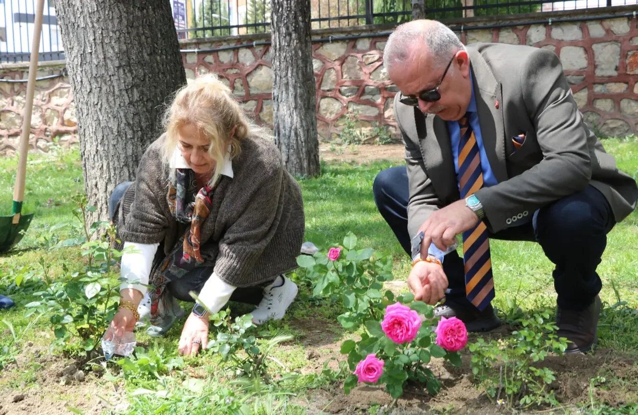 Amasya Üniversitesi Milli Hakimiyet Yerleşkesi Gül Fidanlarıyla Renklendi 1